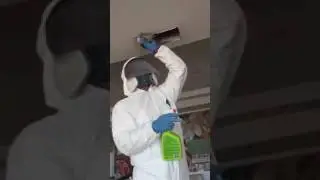 Miami Mold Specialist: Certified Licensed Mold Technician And Environmental Analyst