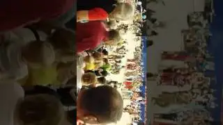 Austin Powwow 2016