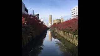 Andy Burns - Meguro