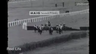 1977, Sandown Park horse race track, Race #3, 8 Jan 1977, Esher, England