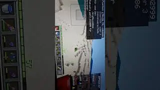 Minecraft W&uuml;ste was ist das da hinten lila schwarzer mob?
