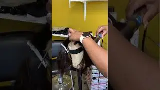 How to cut a wig