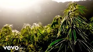 Weed Anthem - GoGo Boi | (OFFICIAL MUSIC)