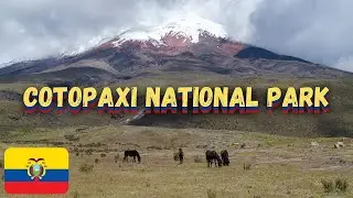Национальный парк Котопакси 🇪🇨 Как посетить второй по величине вулкан Эквадора