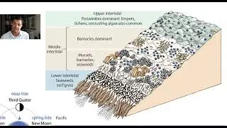 Ecolog&iacute;a Marina 2