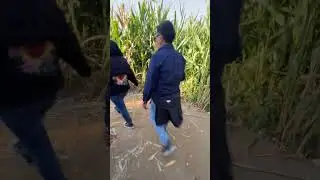 Live Oak Canyon Pumpkin Patch | Corn Maze | Yucaipa California #yucaipa #pumpkinpatch #cornmaze