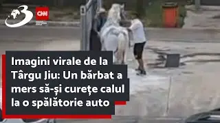 Imagini virale de la T&acirc;rgu Jiu: Un bărbat a mers să-și curețe calul la o spălătorie auto