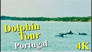 4K Dolphin Tour | Relaxing Music | BEAUTIFUL NATURE |  Set&uacute;bal, Portugal