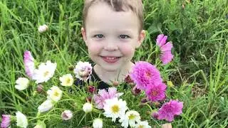 Clovergold Flower Farm