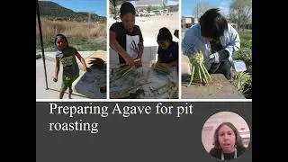 Mojave desert plants of southwest Utah with significant Tribal uses