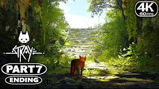 Stray Gameplay Walkthrough Part 7 END - PC 4K 60FPS No Commentary