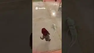 Почему игроки СПЕШАТ попробовать этот трюк с Маленьким Жнецом-королем!