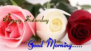 Happy Saturday Have a nice day | good morning status video | good morning whatsapp video