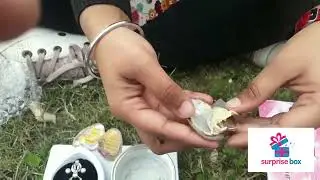 DIY Pearl Jewelry Kit | Oyster Opening Surprise + Freshwater Pearl | Sterling