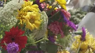 Morning news headlines | Monday, June 1, 2020