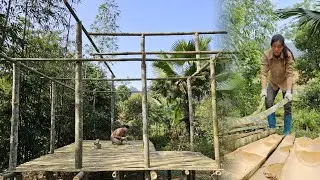 FULL VIDEO: The process of the girl completing the house, picking fruit, corn, planting rice