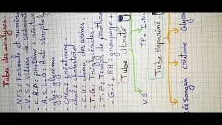 les abréviations des analyses et les tubes des analyses 💯⁉️🩸الشرح بالعربية