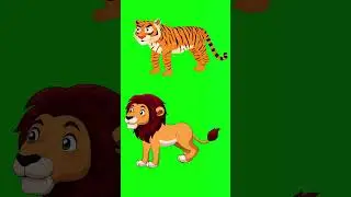 lion and tiger walking green screen #2dcartoonvideo #greenscreen