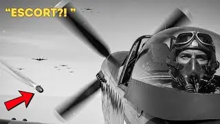They Mocked the Escort Fighter &mdash; Until the P 51 Made Daylight Raids Possible Deep Into Germany