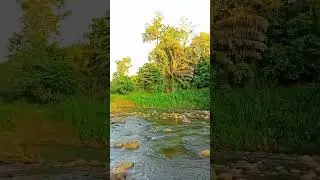 Deep Relaxing Lake AmbienceAmbiente de Lago para Relaxamento Profundo