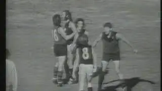 Mal Brown Beats up Carlton