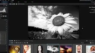 🎨 One simple formula to convert Photo to black and white | PhotoDirector 11(365) Tutorial