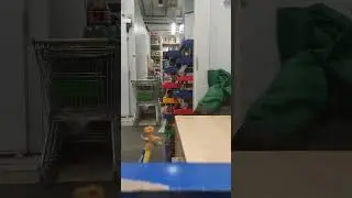 Трицератопс против Тираннозавра #shorts