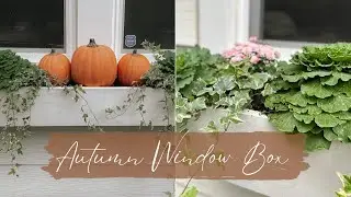 GARDEN WITH ME | Fall Window Box