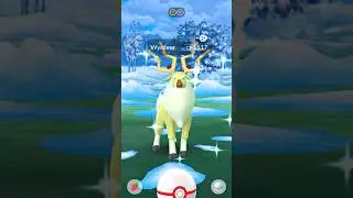 I got new shiny Pok&eacute;mon in first raid. 😁