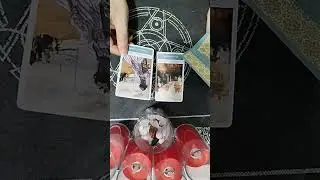 Mùa Xuân có thật sự đến với bạn Minh Phương tarot Zalo 097 659 8884 Em gái miền Tây