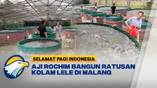Cerita Sukses Pembudidaya Lele [Selamat Pagi Indonesia]
