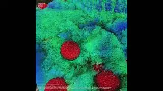 Materials | Liquid Crystal #relaxing #physics #sandbox