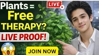 Kya Plants Mind ka Stress Release Karte Hain? 🌿😮 | Live Reality Check|Gardening with Zaim