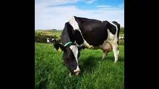 Protecting your farm income in 2022