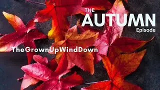🍁AUTUMN | THE GROWN UP WIND DOWN &mdash; soothing audio-visuals for rest & sleep
