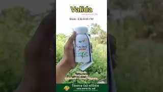 VALIDA | FUNGICIDE | SMART FARMING #farming #agriculture #trending #gardening #farmer #fungicides