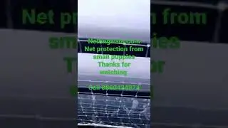 #puppynetting#birdnetting services#antibirdnet# catnet #pegionnet#call for your balcony protection.