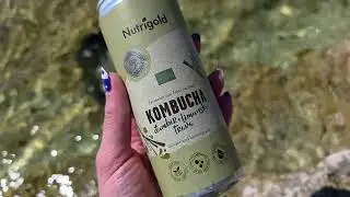 Kombucha Đumbir & Limunska trava - Organska 330ml