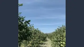 Intro