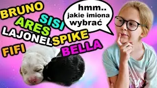 IMIONA DLA PIESKÓW
