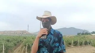 ТАКТИКУЛ. НАЧАЛО | SHBC
