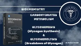 Glucogenesis & Glycogenolysis | Dr Hamza | Laiba Komal | Medical With Us (Lippincott Review)