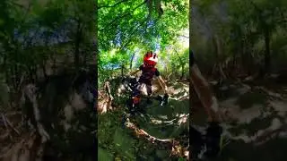 San Giorgio MTB: Direttissima - Chiantore - Cinghiali