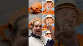 O Sapo do Presidente Lula #youtubeshorts #shorts