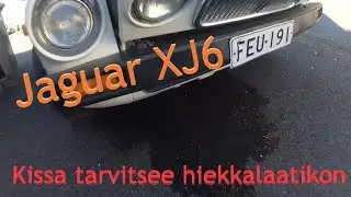 Jaguar XJ6 - Taas letkut r&auml;j&auml;htelee