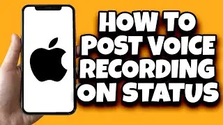 How To Post Voice Recording On WhatsApp Status (Latest)