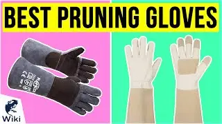 10 Best Pruning Gloves 2020