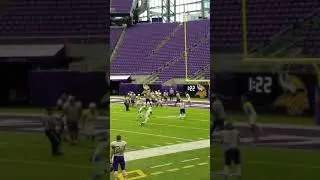 Sean Hayden 2018 hit at Vikings Stadium