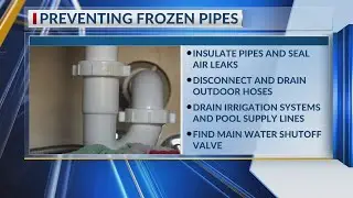 Tips for protecting pipes and pets during severe winter weather