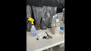 PooGod Bag Tek Growkit and How to Use
